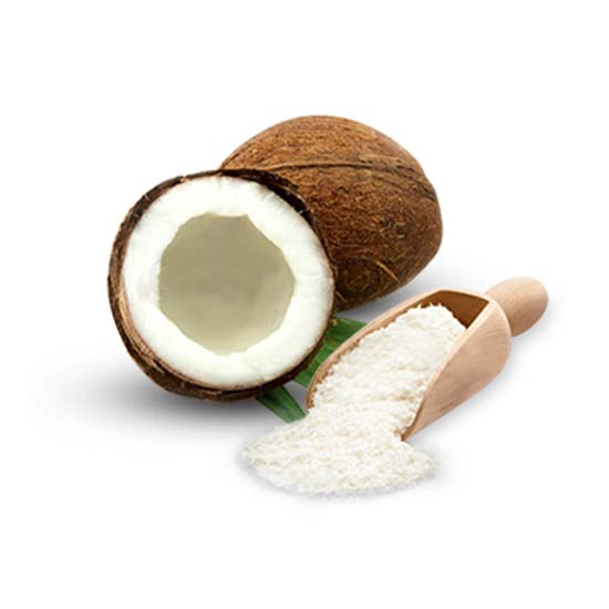 Desiccated Coconut Powder - Premium Grade